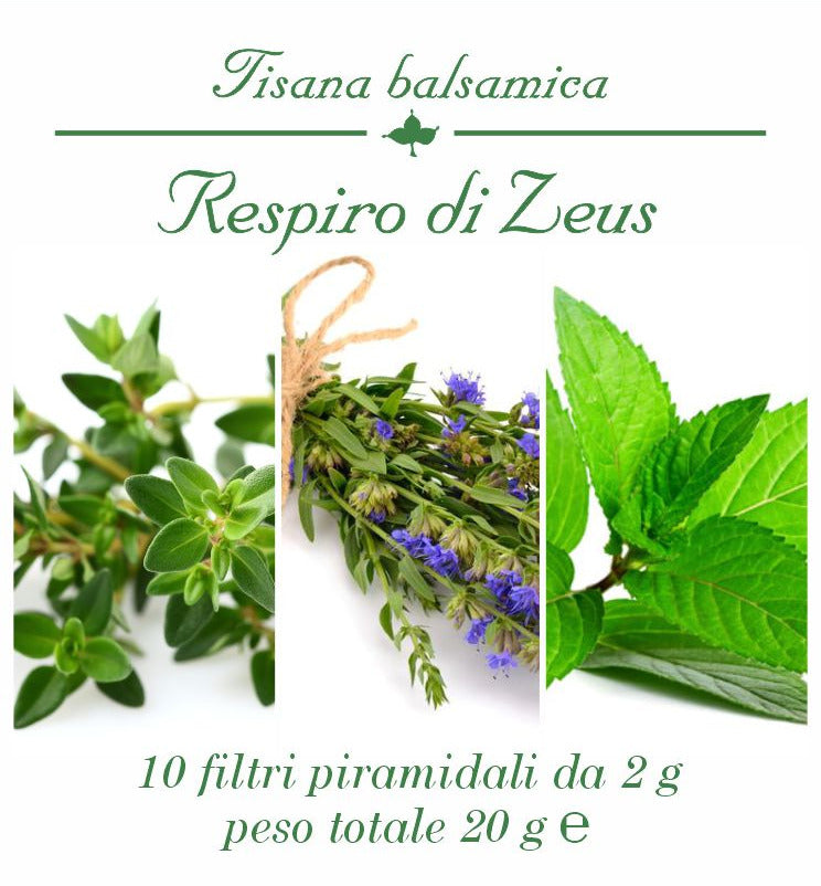 TISANA RESPIRO DI ZEUS filtri piramidali